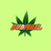 8519b7 budmail logo